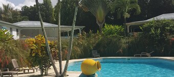 Creole bungalow / pool in tropical garden (4 persons)