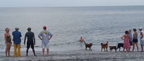 On the beach, sun-loungers, beach towels