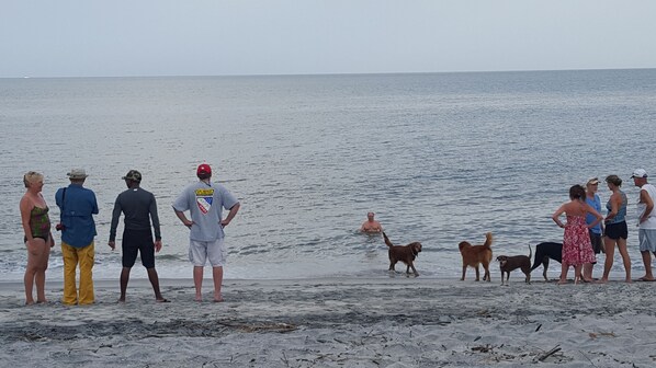 Am Strand, Liegestühle, Strandtücher