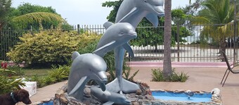 Rent a room or a house at the beach in Punta Chame