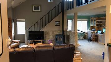 Una televisión, una chimenea, un reproductor de DVD, libros