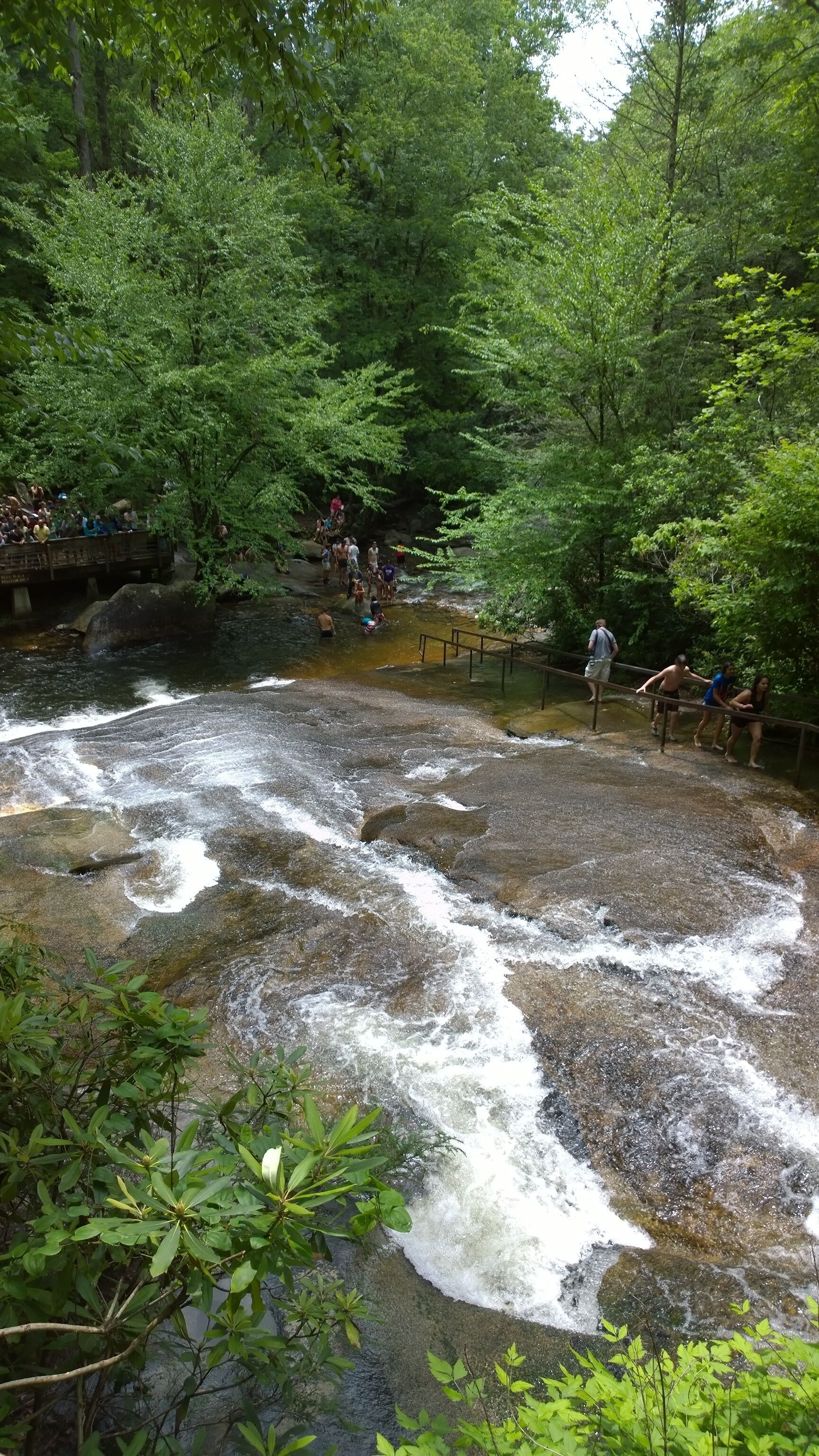 Une rivière qui traverse une zone boisée et sur laquelle se trouve un pont en bois.