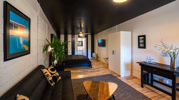En moderne stue med en sort sofa, et træbord og en stor plante.