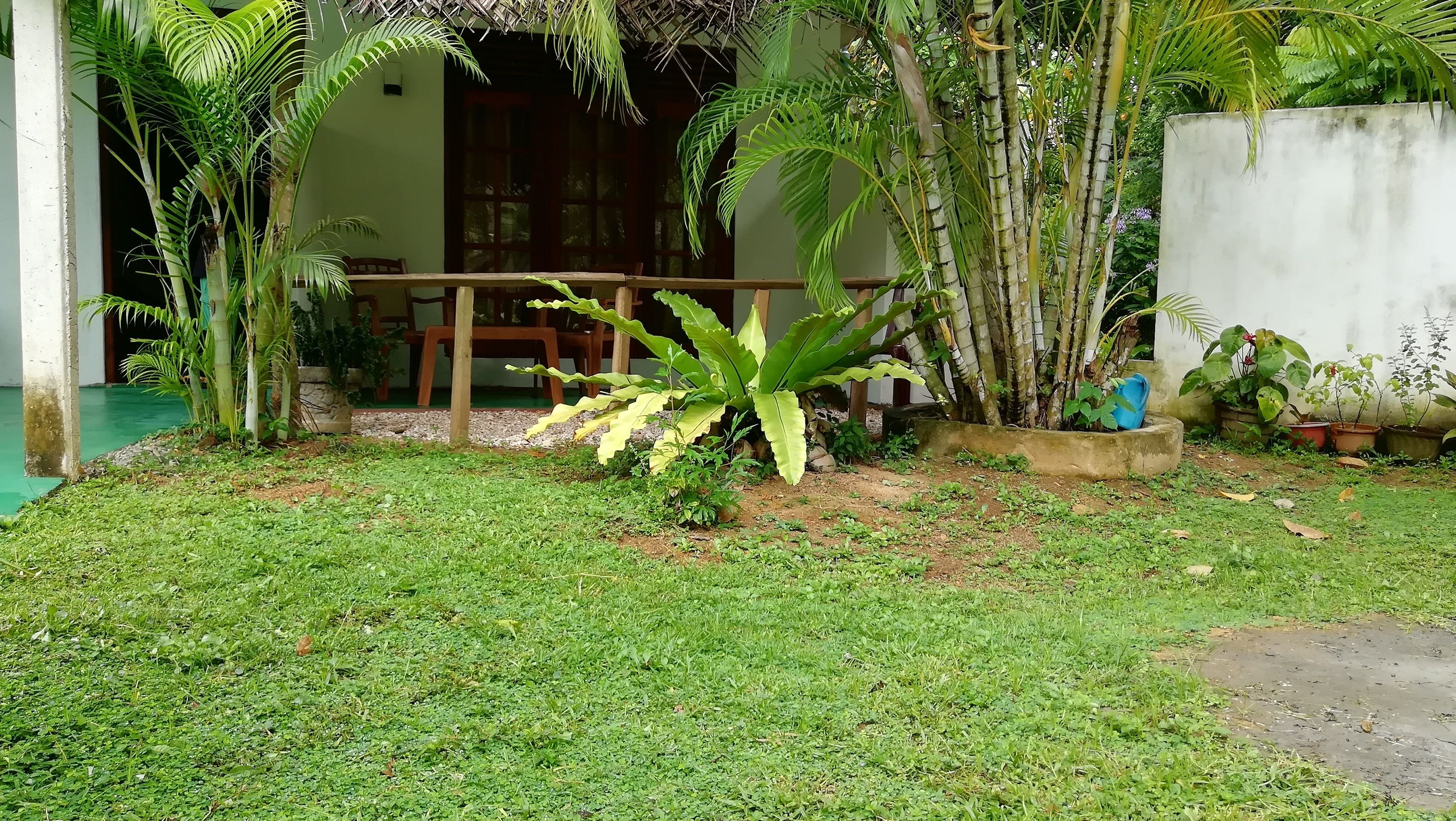 Jardin