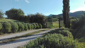 A gravel path leading through a landscaped area with neatly trimmed hedges and a gate. - Hillside Villa with Swimming Pool and Jacuzzi - Frasassi Caves (Sassoferrato)