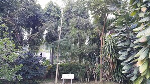 A garden with a white bench, various trees, and dense foliage. - Phuphaya Hotel (Pak Chong)