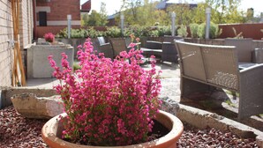 Een terras met zitplaatsen buiten, een plant in een pot en een bakstenen gebouw op de achtergrond.