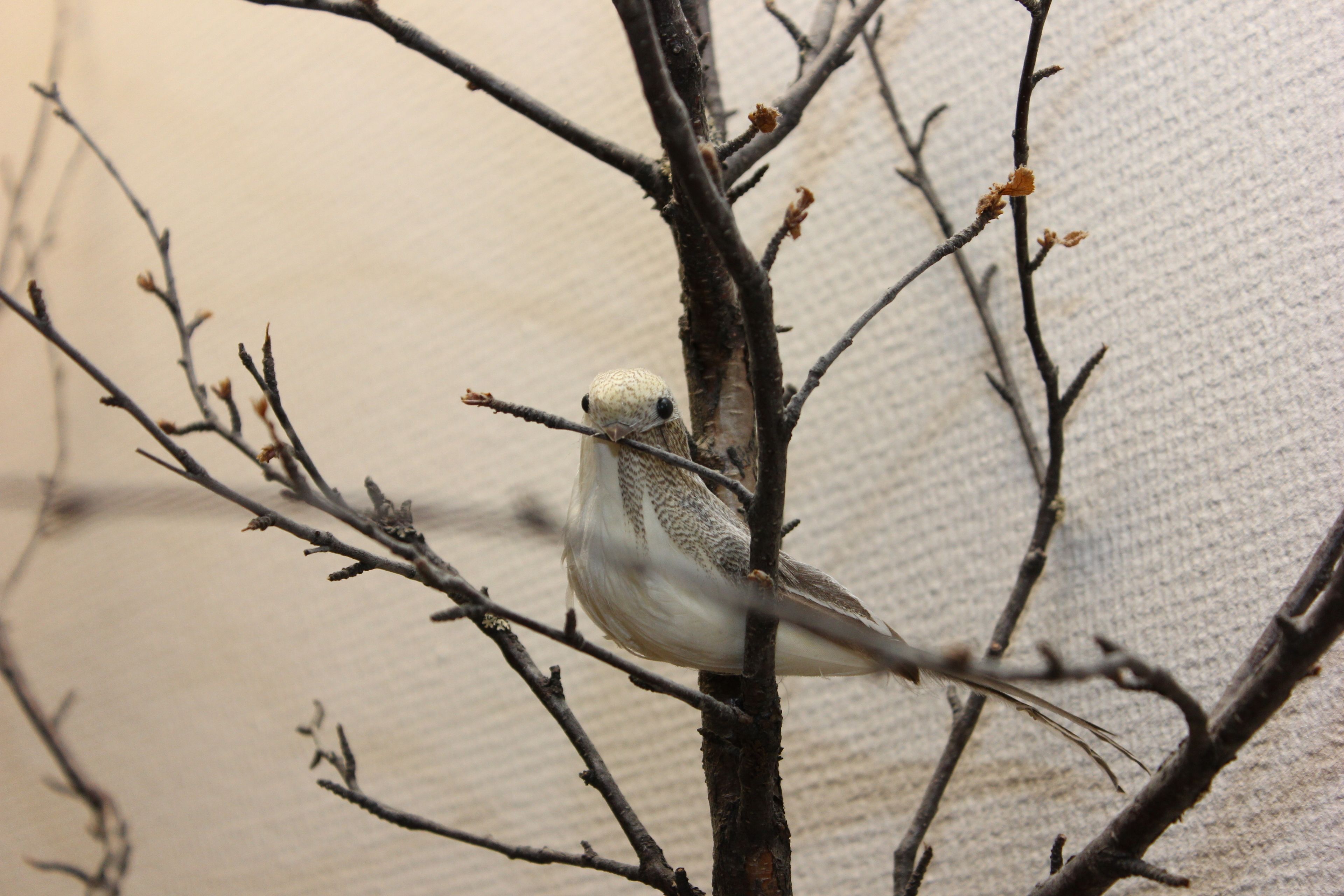 A bird perched on a branch.