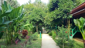 Een pad omzoomd door weelderige begroeiing en diverse planten.