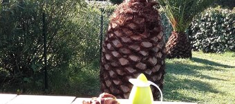 Chambres d'hôtes Villa Alizé