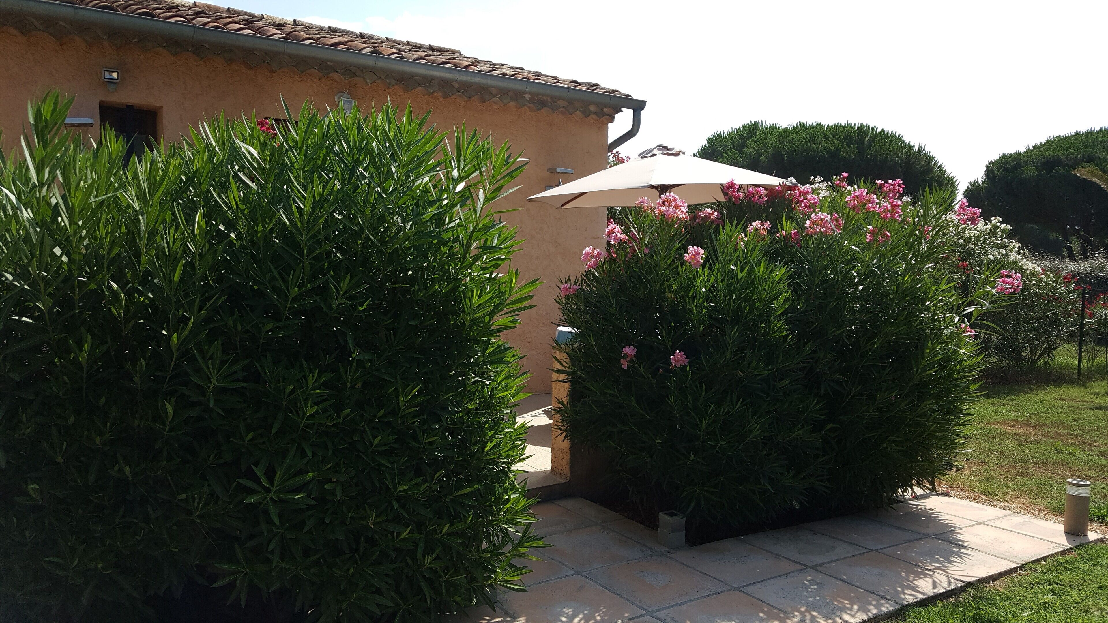 Chambre Double | Terrasse/Patio