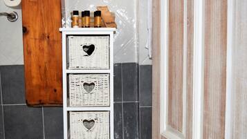 Dusche, Regendusche, Haartrockner, Bidet