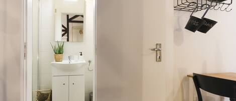 Un baño con lavamanos blanco, espejo y planta colgante.