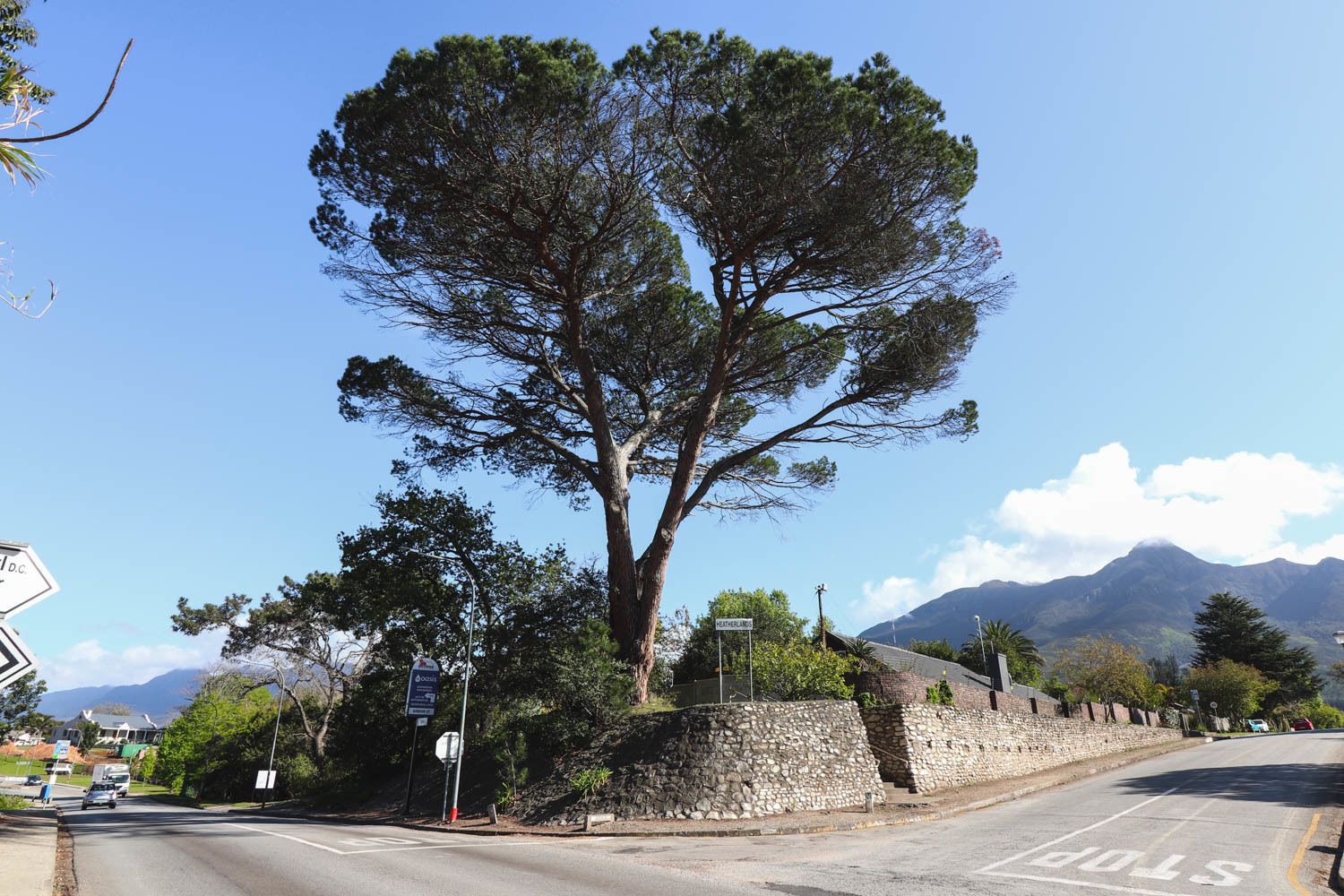 Una carretera con un gran árbol, un muro de piedra y una montaña al fondo.