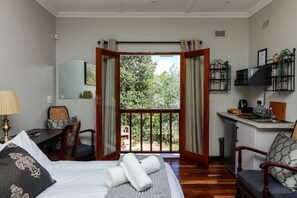 Desk, laptop workspace, iron/ironing board, free WiFi - Arbour1 (George)