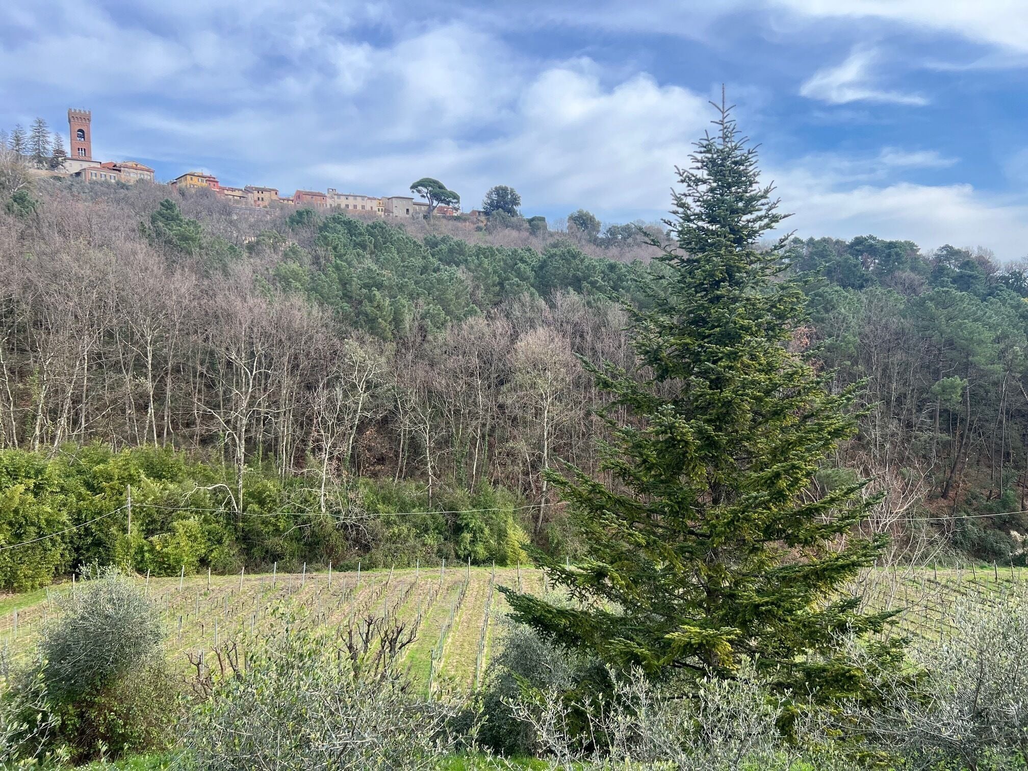 A rural landscape with a tower on a hill, surrounded by trees and a field.
