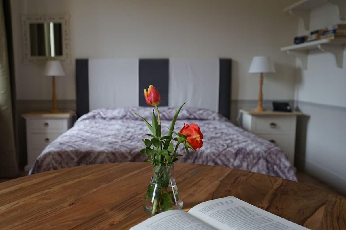 Deluxe Studio, 1 Double Bed, Non Smoking