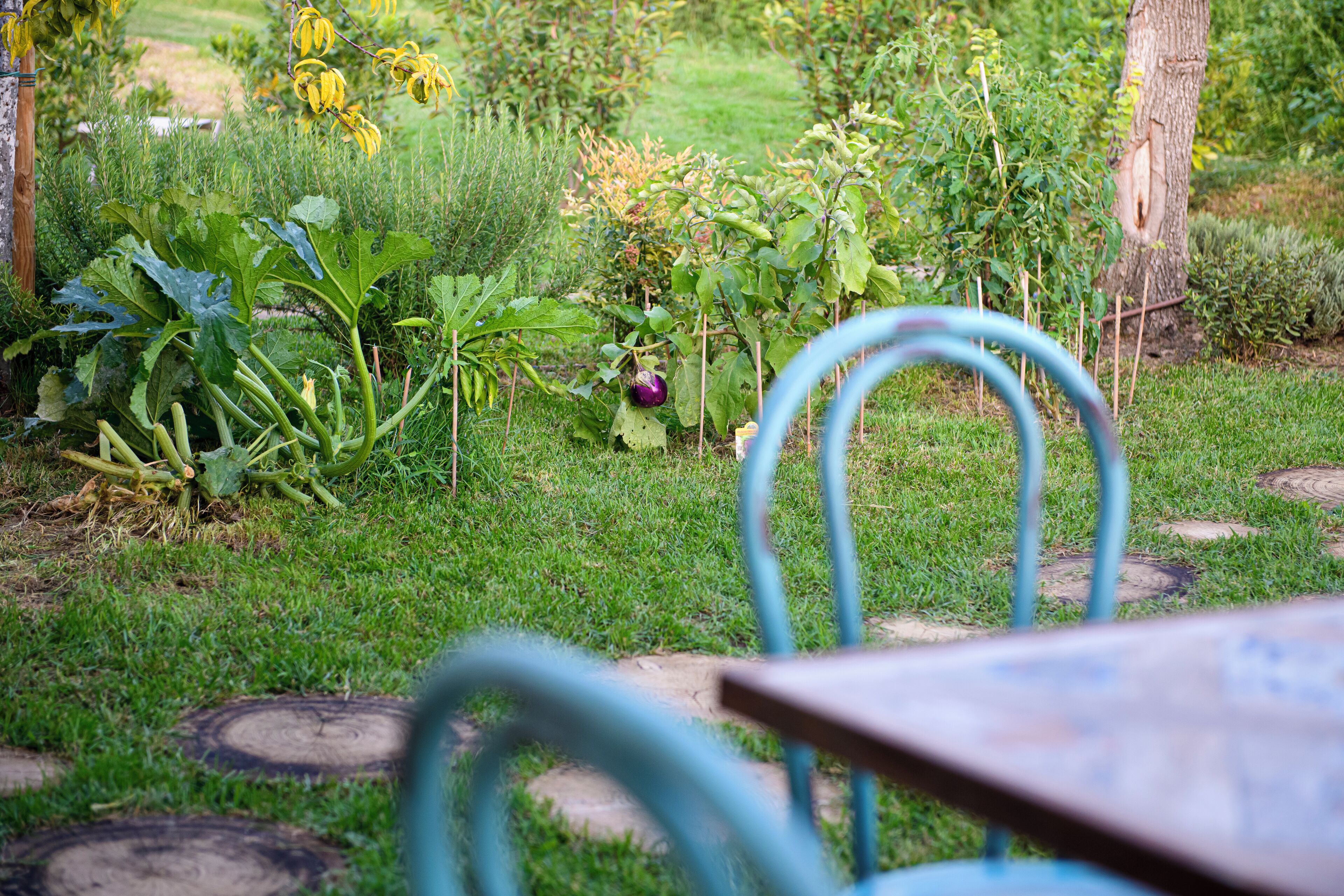 Een tuin met verschillende planten en een metalen stoel op de voorgrond.