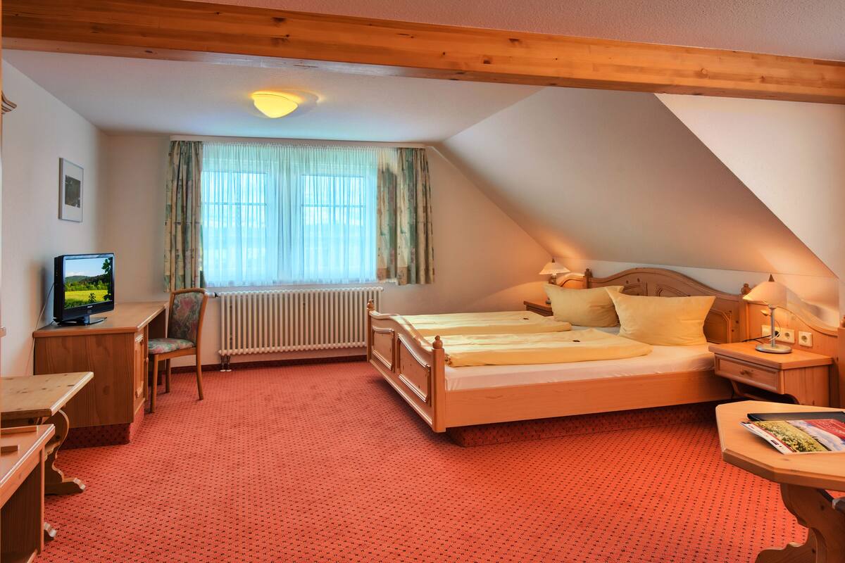 Une pièce confortable avec un lit, un bureau, une chaise, un radiateur et un téléviseur.