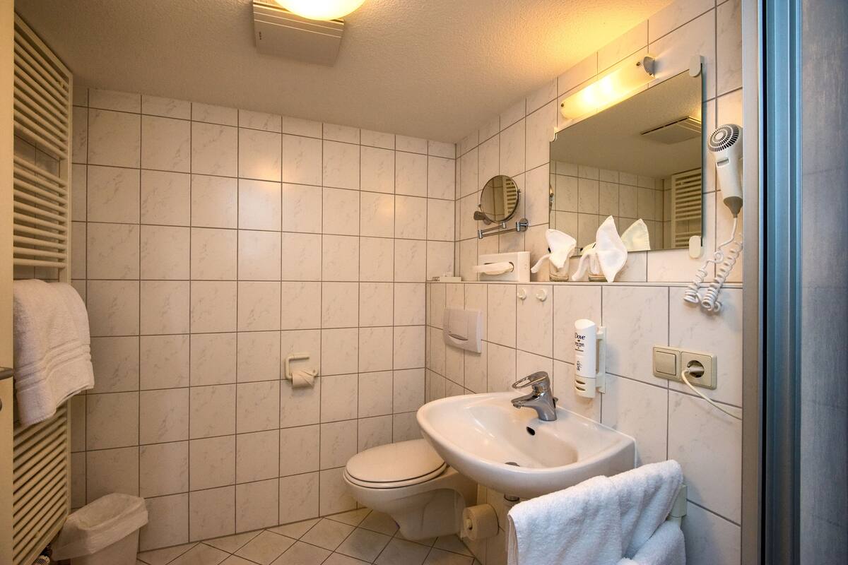 shower, free toiletries, hair dryer, towels