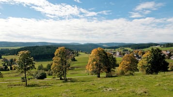 A rural landscape with rolling hills, scattered trees, and a small village with traditional buildings.