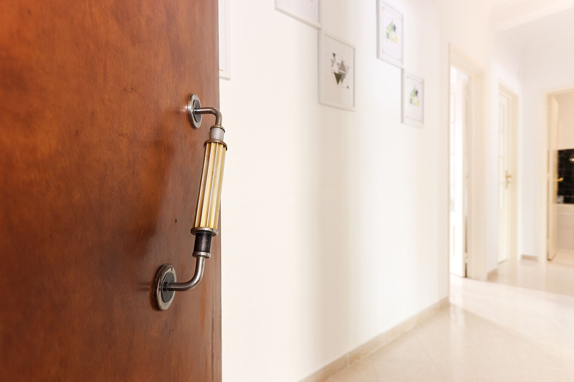 A wooden door with a brass handle and a round doorknob.