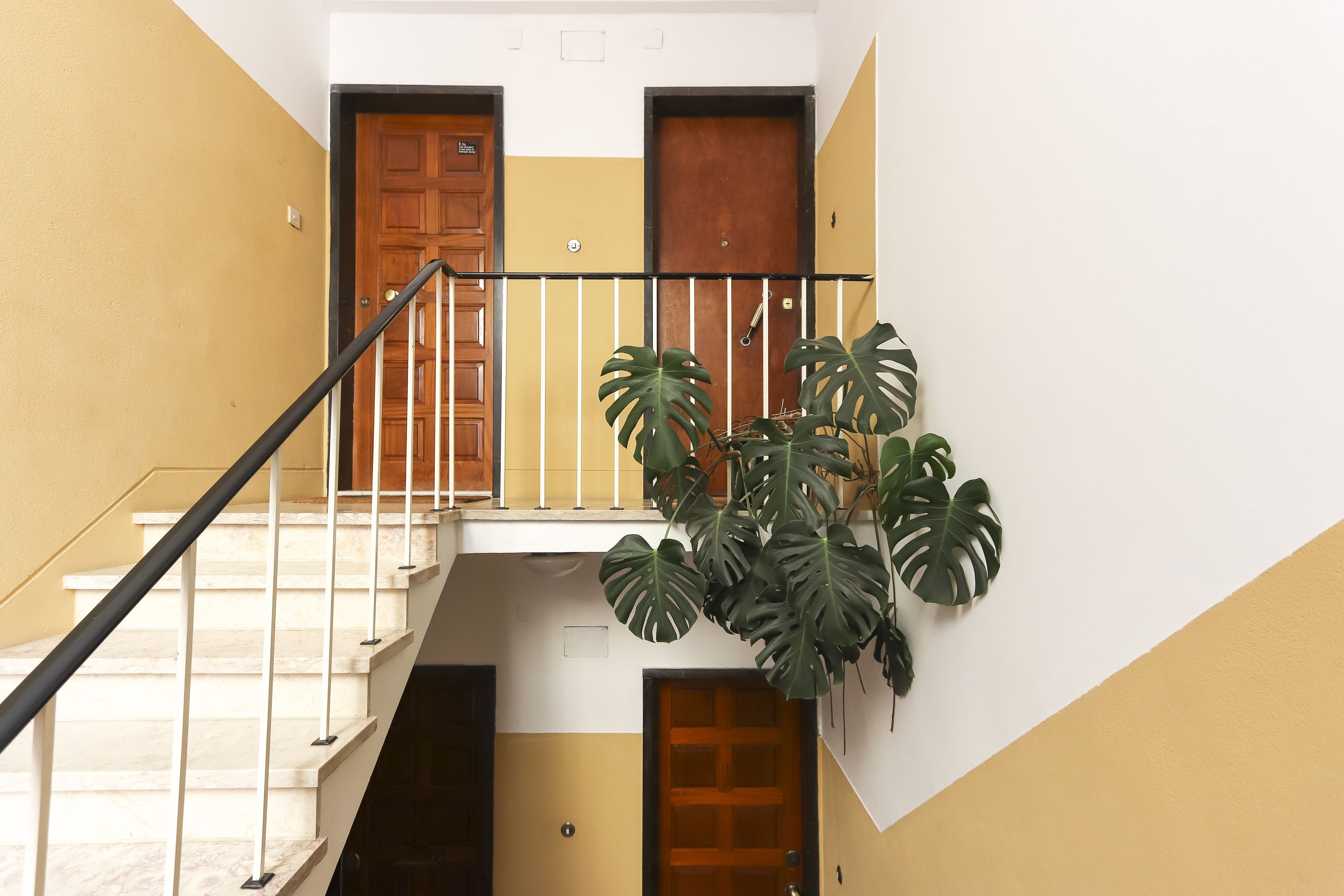 A staircase with a handrail, a wooden door, and a potted plant.
