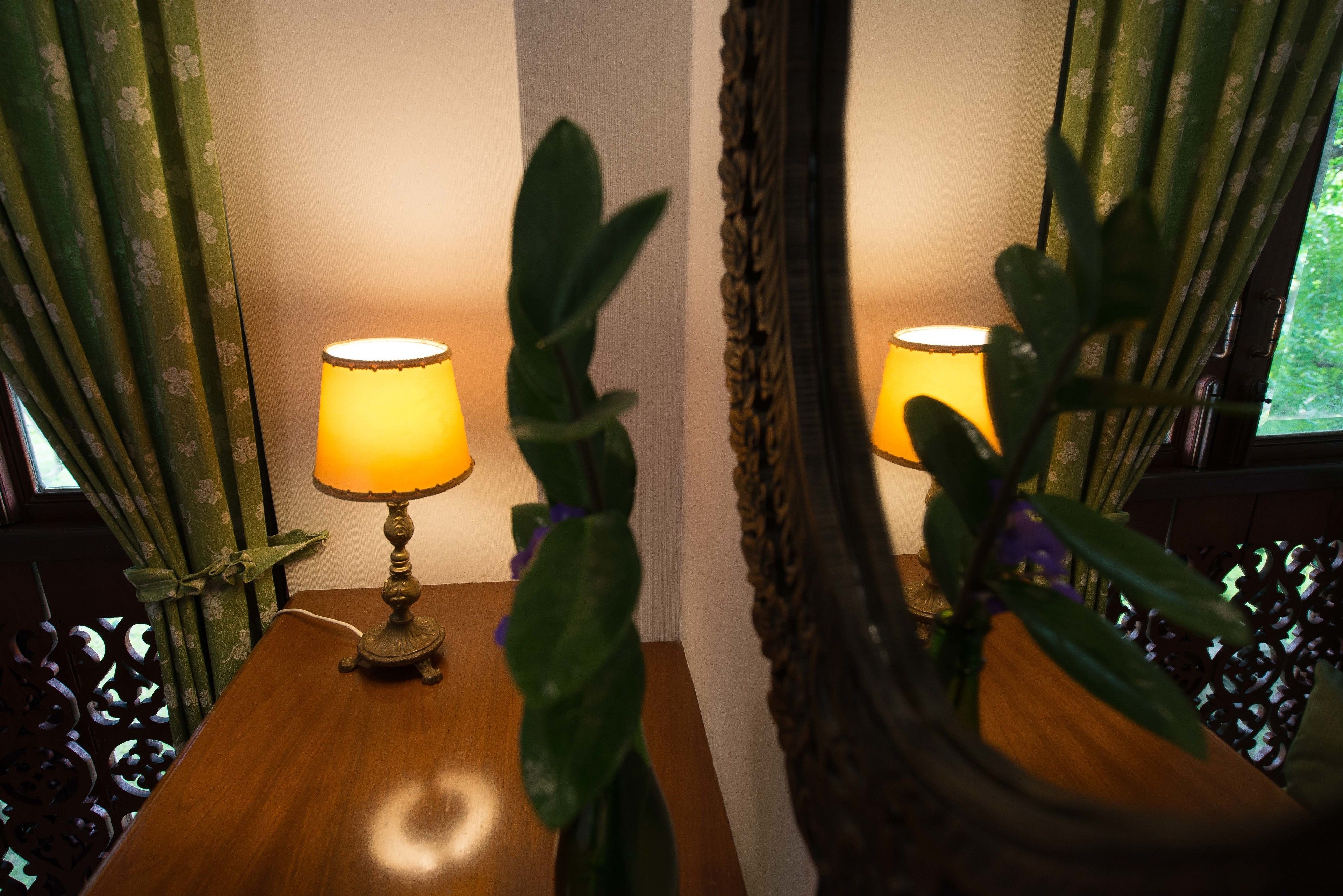 Una mesa de madera con una lámpara y una planta en maceta.
