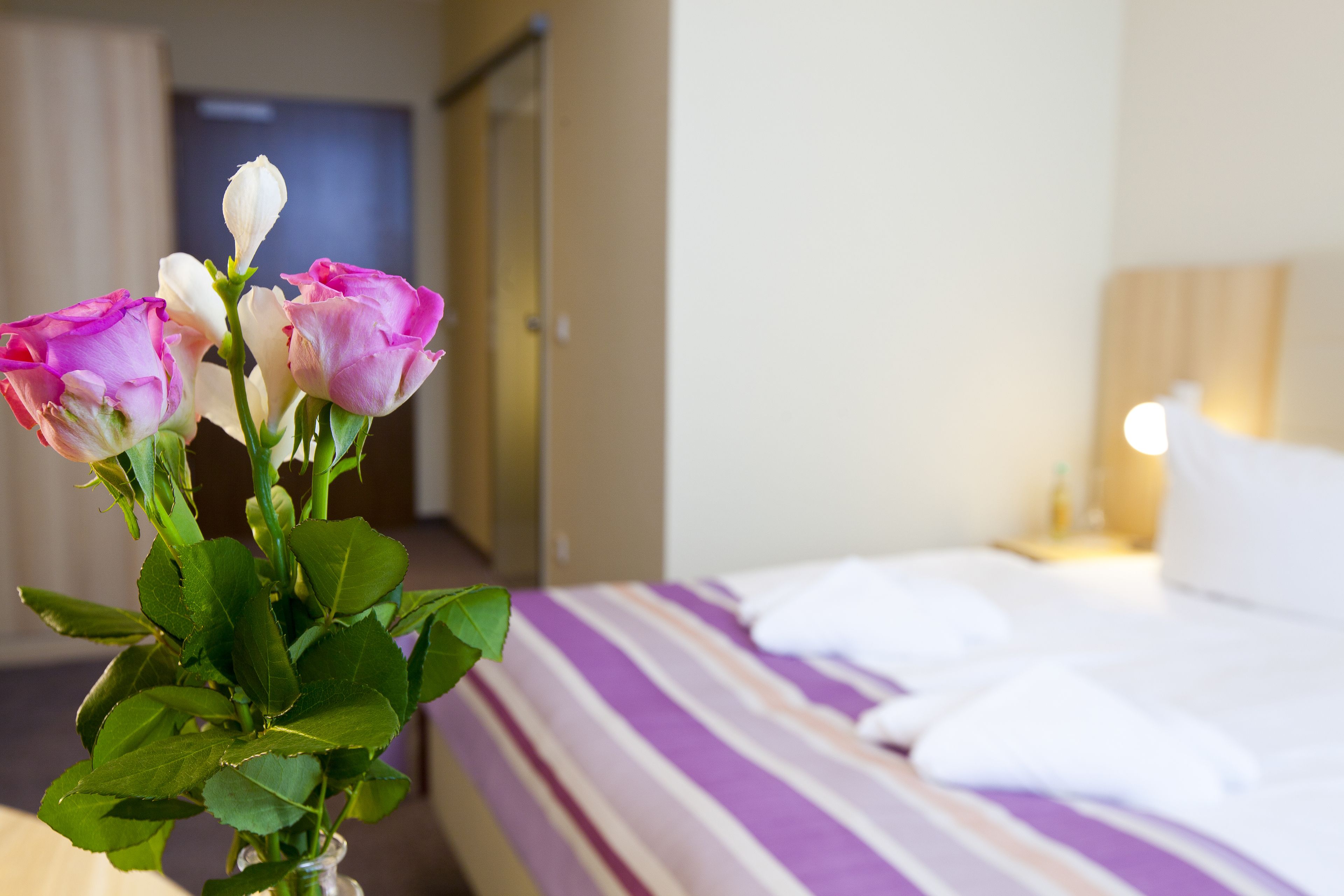 Foto - Hotel Siebenschläfer