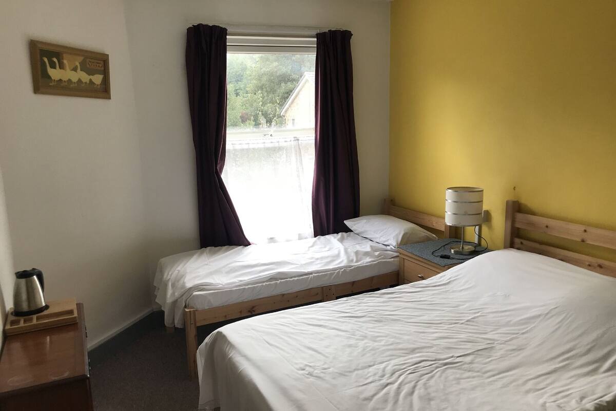 A room with two single beds, a bedside table with a lamp, a window with curtains, and a framed picture on the wall.