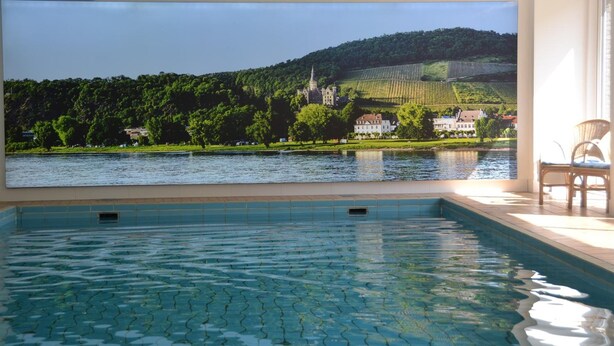 A swimming pool with a view of a castle and vineyards. - Hotel Zur Mühle (Bad Breisig)