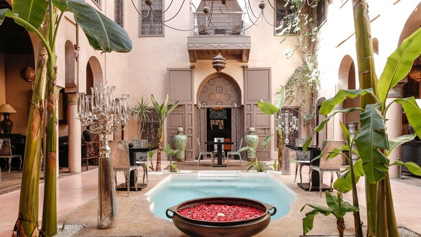 A courtyard with a pool, a decorative bowl filled with red pebbles, and potted plants. - Riad Noir d'Ivoire (Marrakech)