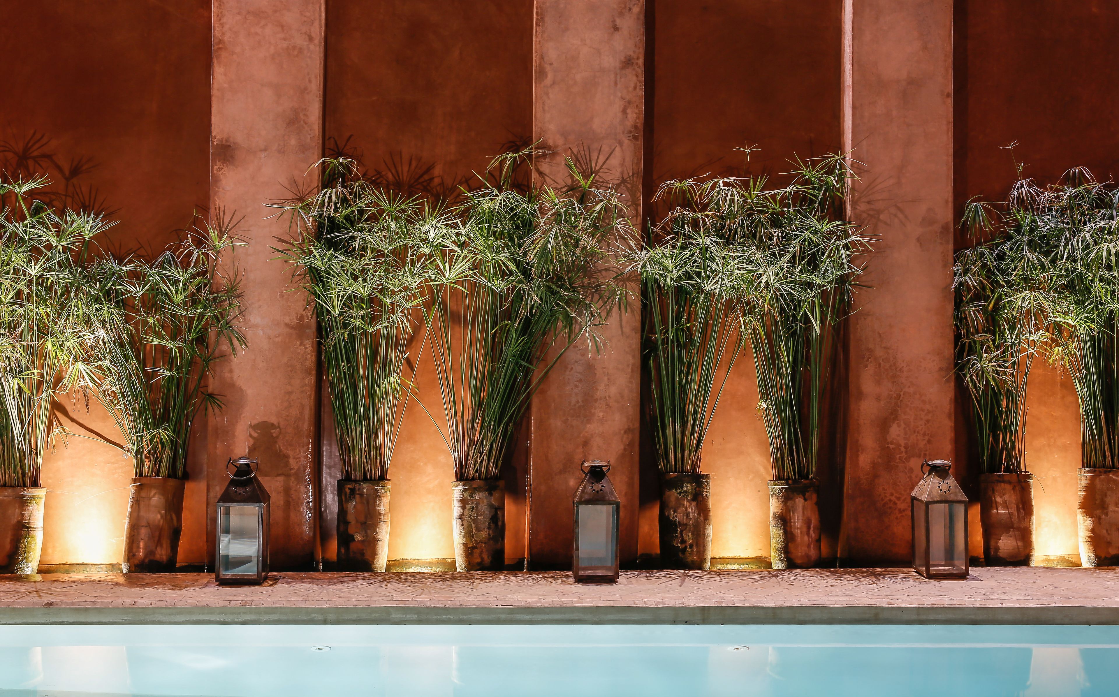 Zona junto a la piscina con plantas altas y faroles frente a un muro con textura.