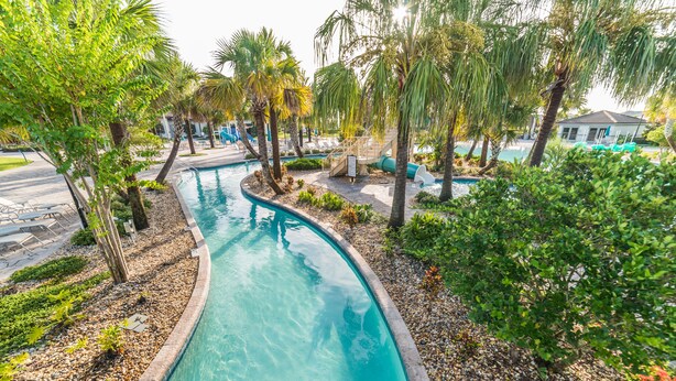 A curved swimming pool surrounded by palm trees and a small waterfall feature.