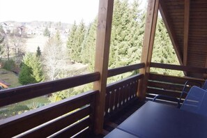 Apartment, Balcony (or terrace) | Balcony - Hotel Schöneck Garni (Schluchsee)