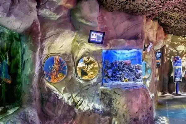 Gift shop