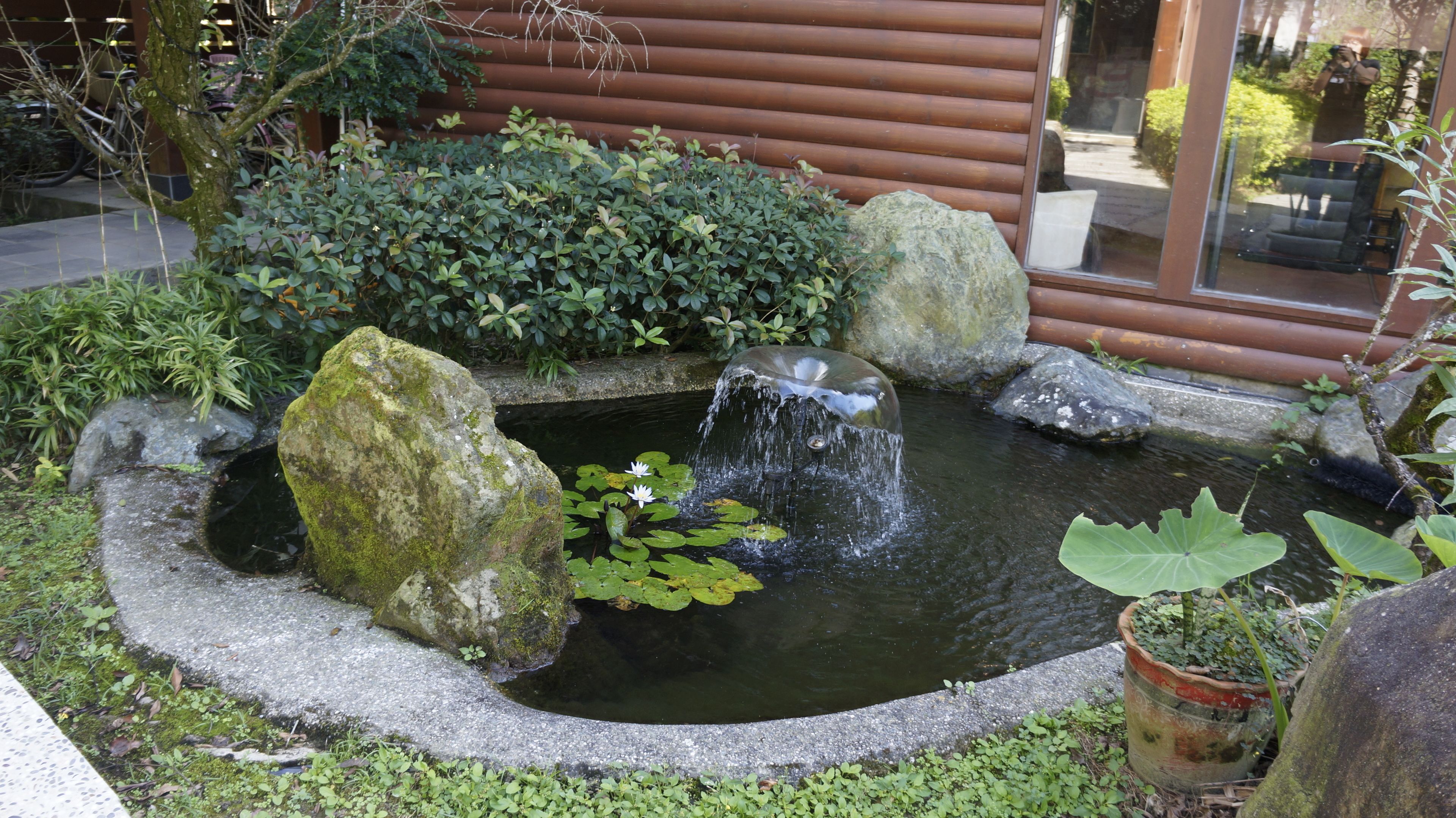 Um pequeno lago com uma cascata, rodeado por pedras e plantas.