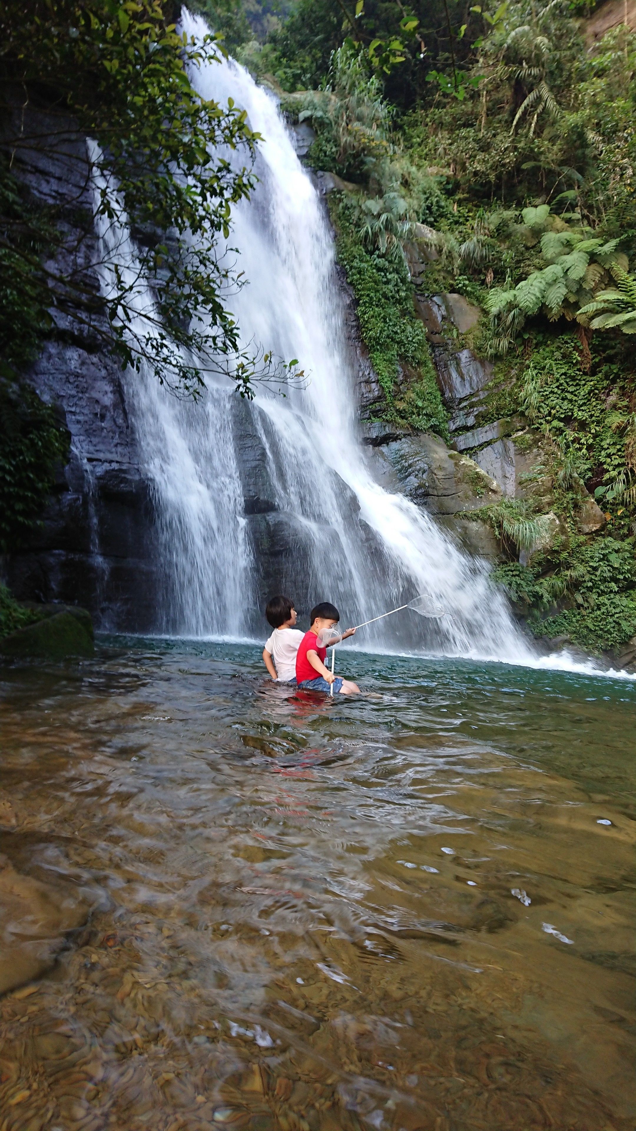 A waterfall with clear water and lush greenery.