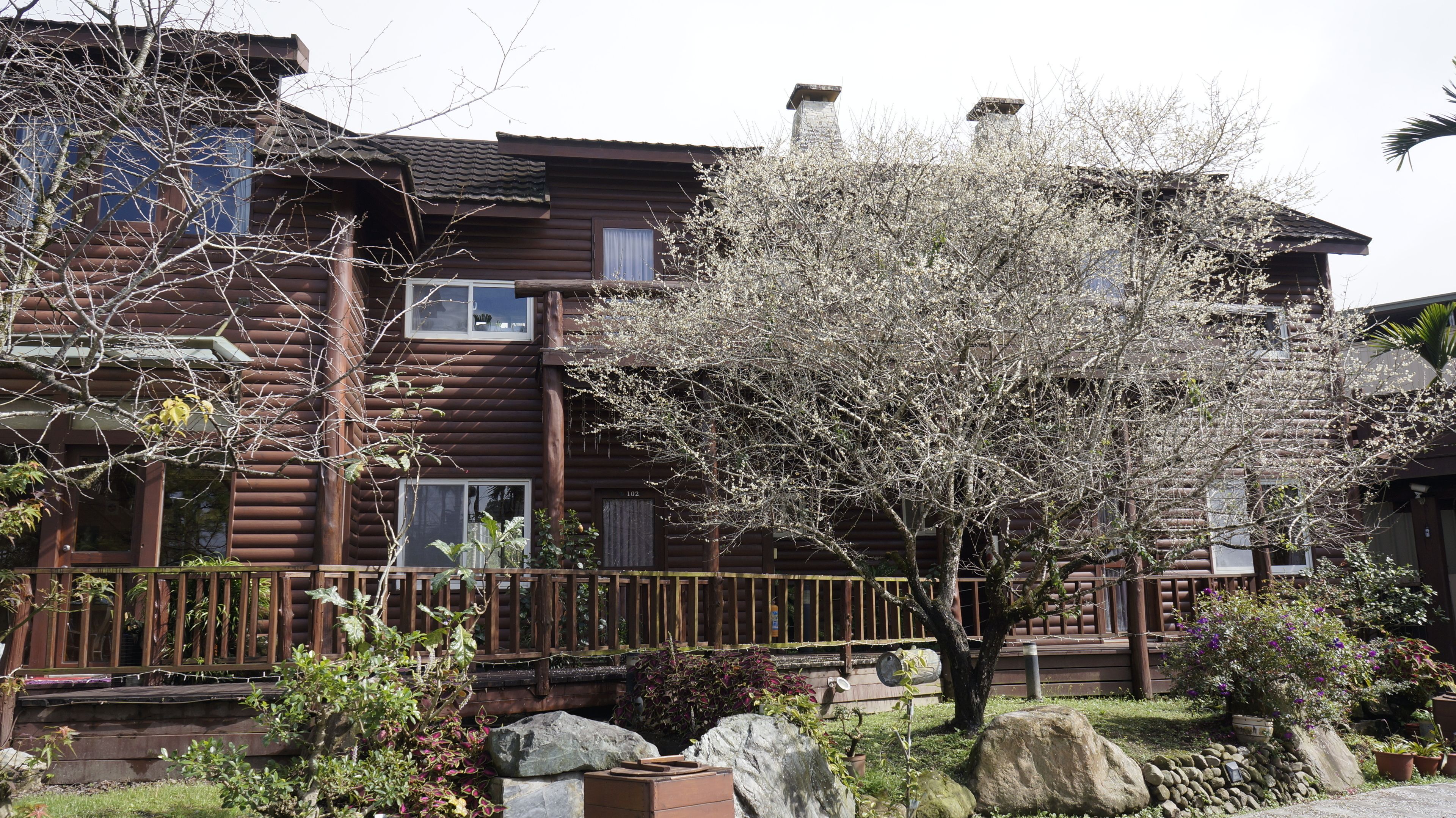 A wooden cabin with a balcony, surrounded by a garden with various plants and a large rock.
