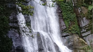 Een waterval stort neer over een rotswand, omgeven door weelderige begroeiing.