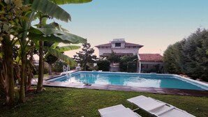 A swimming pool with a wooden deck, surrounded by grass and a few lounge chairs. - Villa Bianca (Castellammare di Stabia)