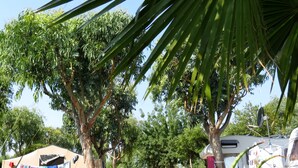 Un camping con una caravana y una tienda de campaña, rodeado de árboles.
