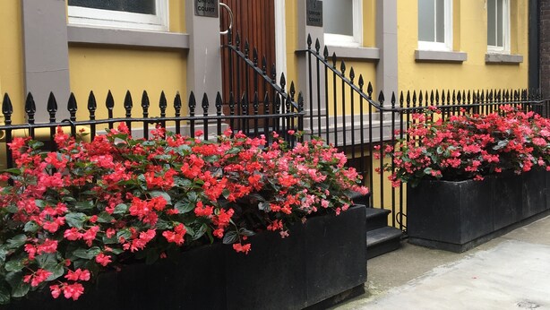 Un edificio amarillo con una valla de hierro negro y flores rojas en macetas.