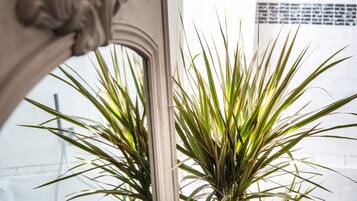 A potted plant in a window with a decorative frame.