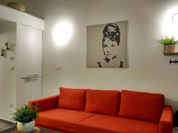 31-英寸智能电视 （配备卫星频道）、电视