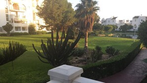 A well-maintained garden with various plants and a pathway. - Apartment in Laguna Beach 1st Line Beach with WIFI (Torrox)