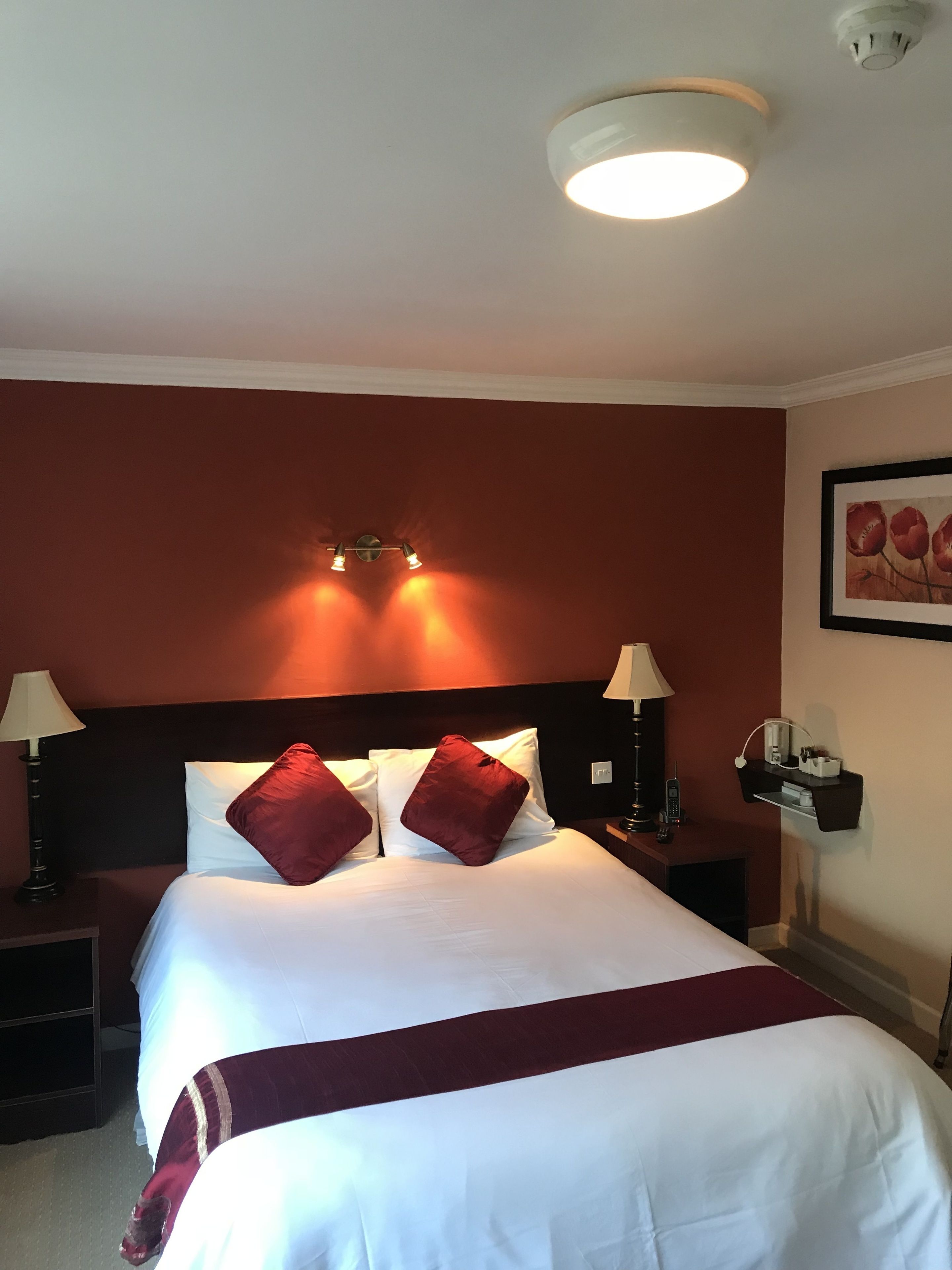 standard double room single use, 1 double bed, non smoking | soundproofing, free wifi, bed sheets