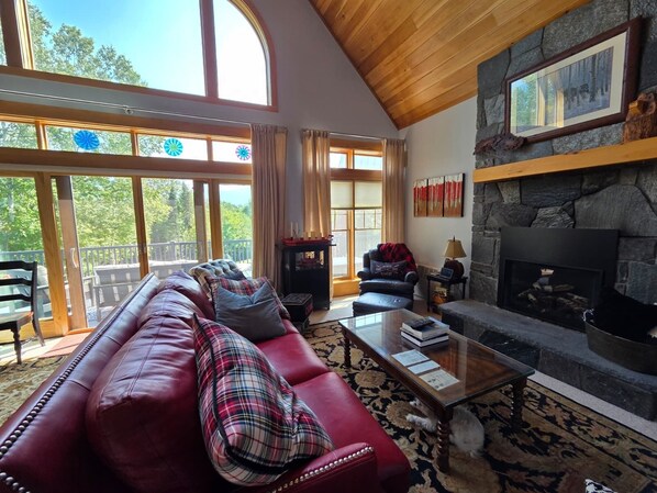 TV, fireplace, table football