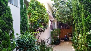 Um pátio estreito e pavimentado, com vegetação densa, incluindo árvores altas e plantas trepadeiras, rodeando um edifício com fachada bege.