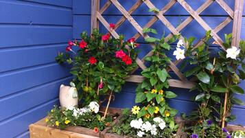 Desk, blackout curtains, soundproofing, free WiFi